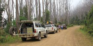 Jamieson - Licola Rd