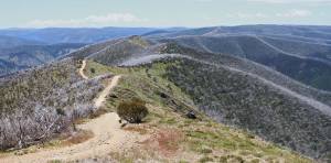 View from trig point